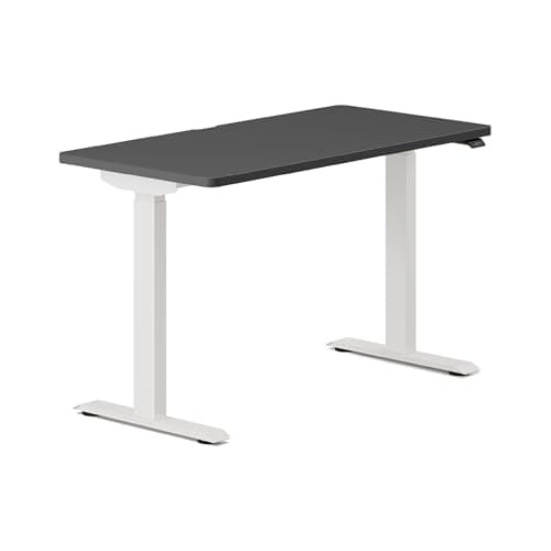 Branch Branch Duo Standing Desk (48×24)