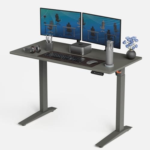 Autonomous Autonomous Electric Standing Desk 5 (48×24, Gray)