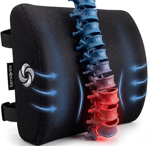 Samsonite Samsonite Lumbar Support Pillow